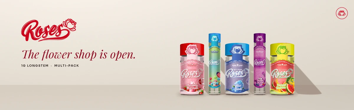 Roses banner theme I, Cream Gallery