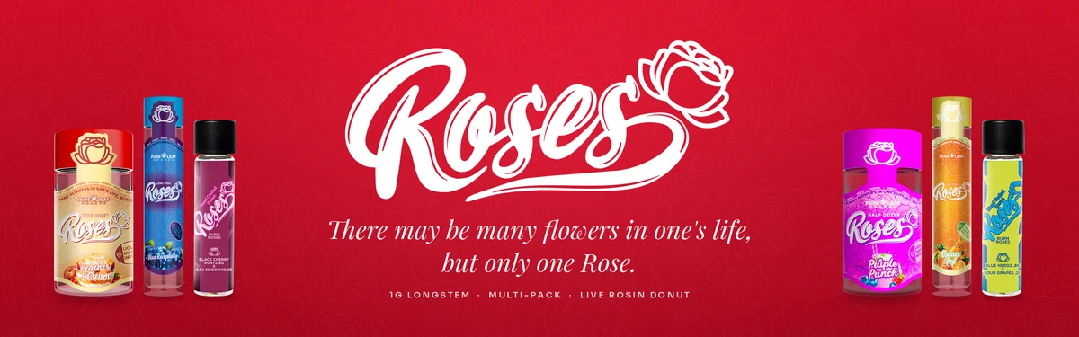 Roses banner theme V, Only One Rose