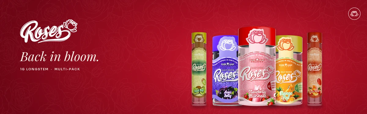 Roses banner theme W, Red Pattern