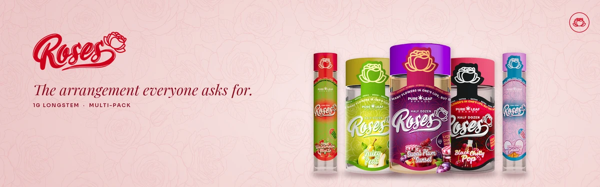 Roses banner theme Y, Blush Pattern