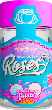 Roses Bubblegum Gelato half dozen pre-roll jar
