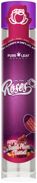 Roses Sugar Plum Sunset 1g pre-roll tube