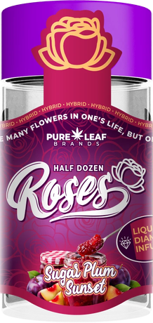 Roses Sugar Plum Sunset half dozen pre-roll jar