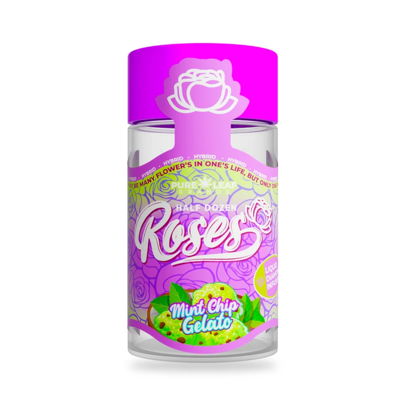 Roses Mint Chip Gelato Multi-pack product photo