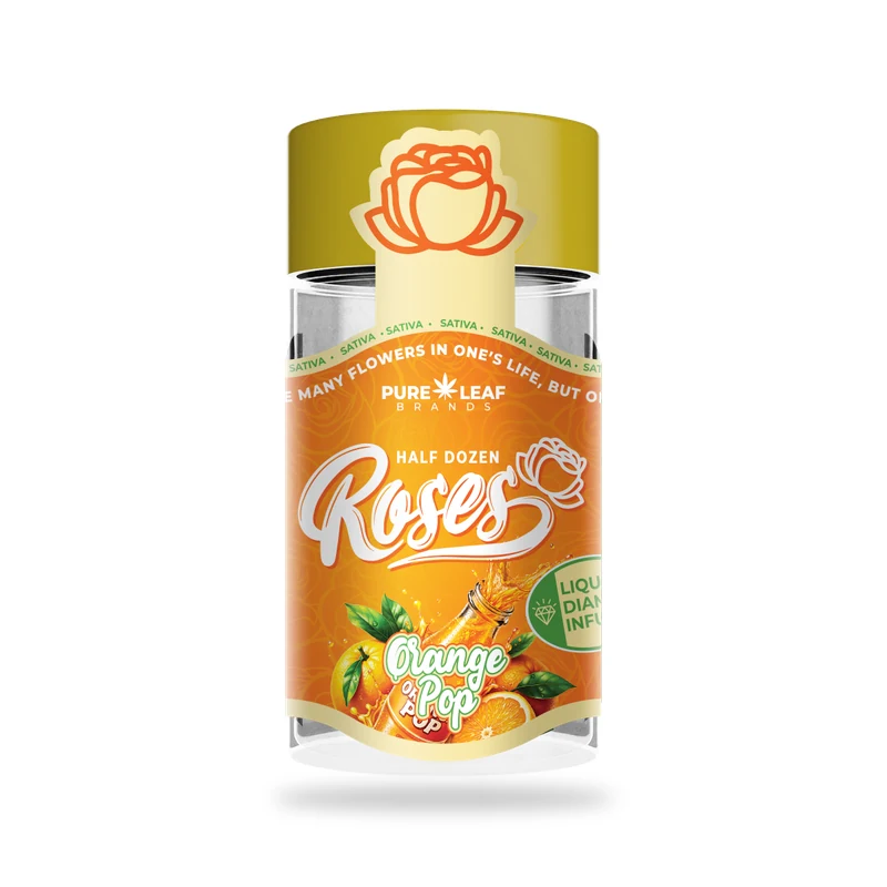 Roses Orange Pop Multi-pack product photo