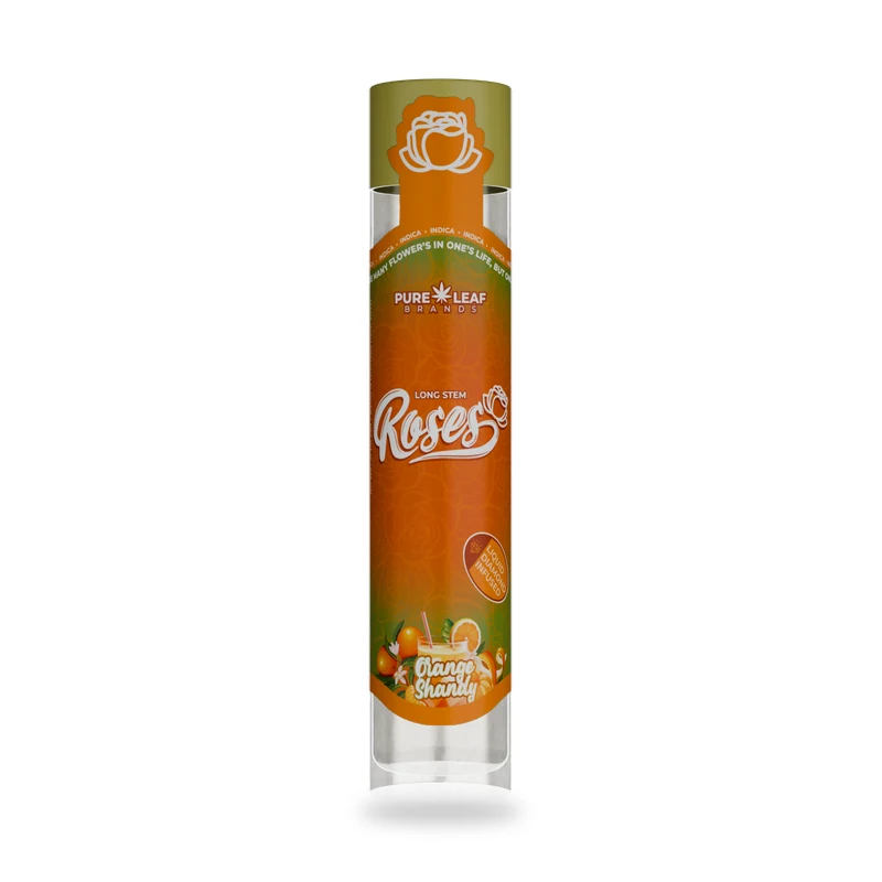 Roses Orange Shandy 1g Longstem product photo