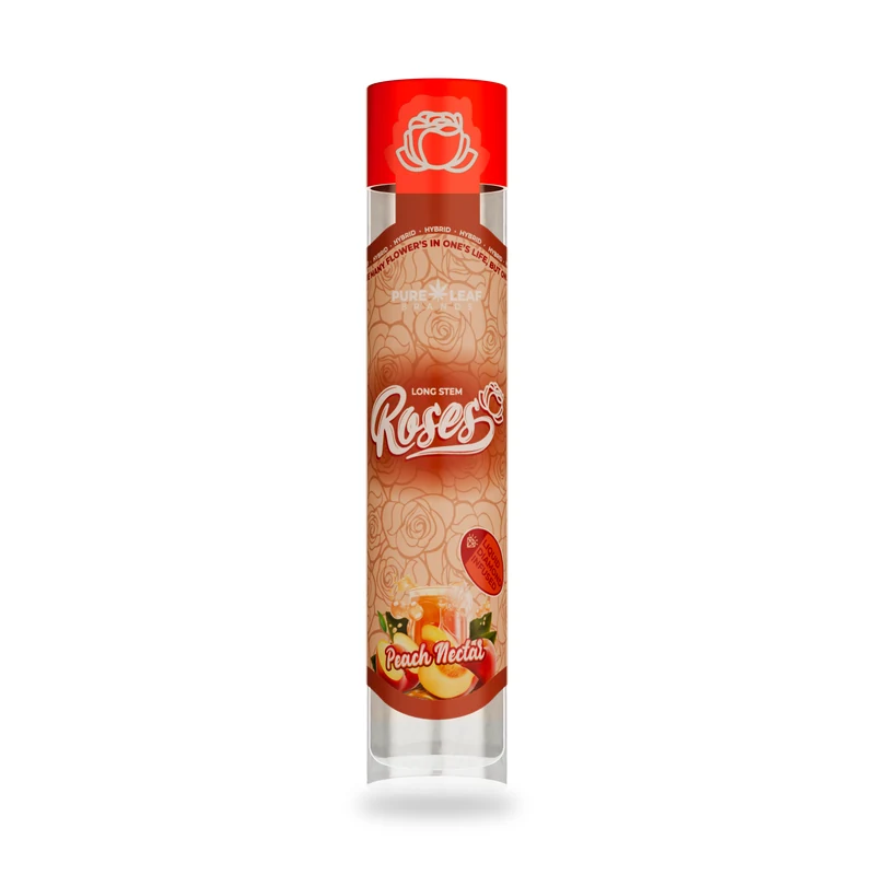 Roses Peach Nectar 1g Longstem product photo
