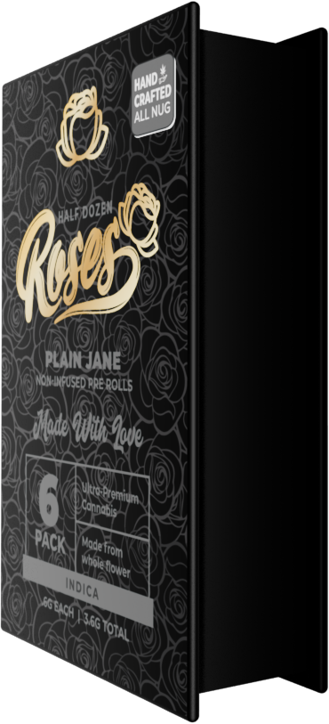 Roses Plain Jane Indica 6 pack box, black