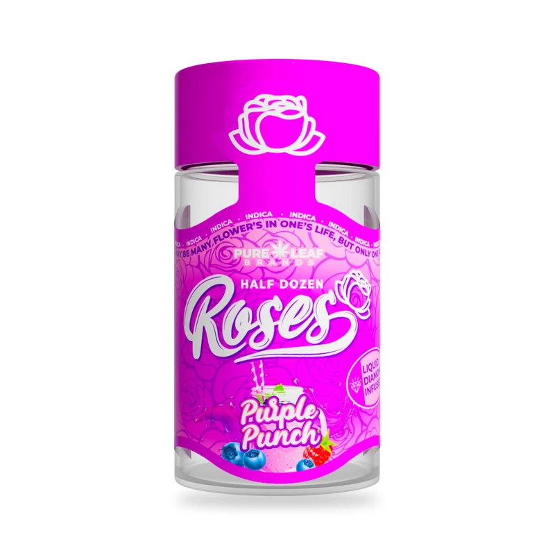 Roses Purple Punch Multi-pack product photo