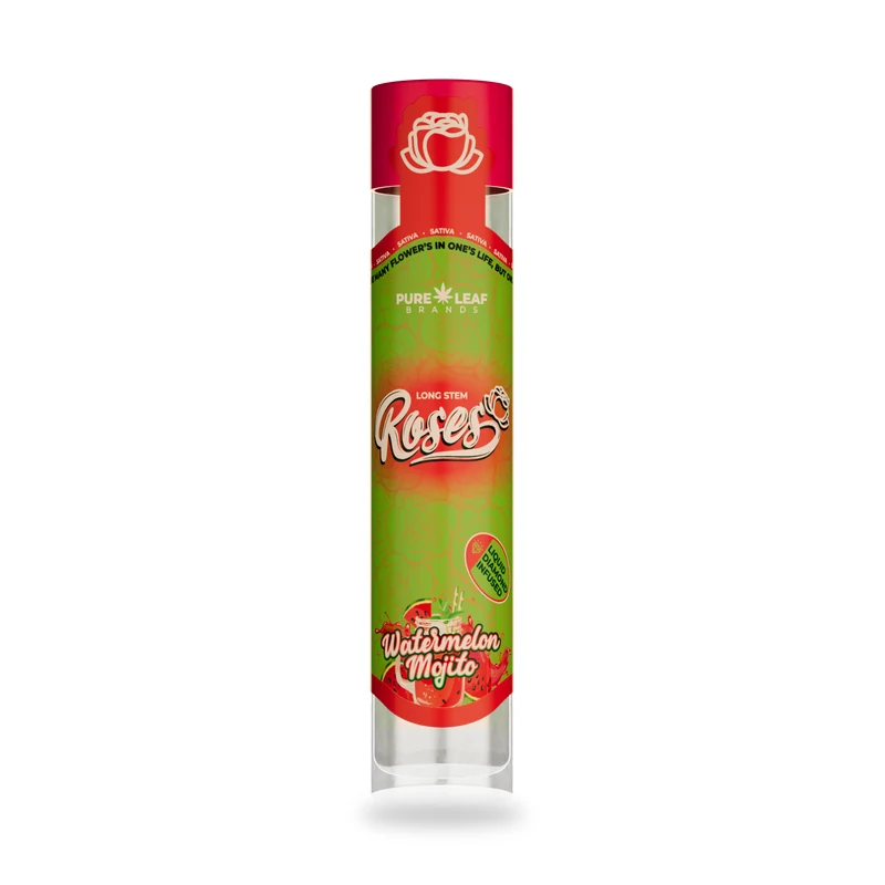 Roses Watermelon Mojito 1g Longstem product photo