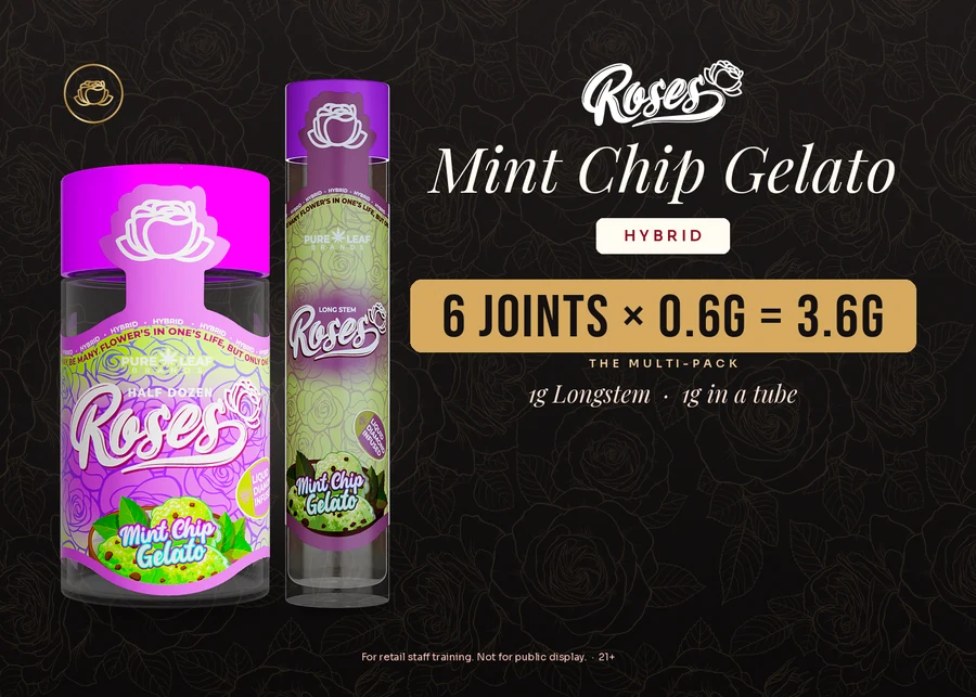 Roses budtender flash card, Mint Chip Gelato
