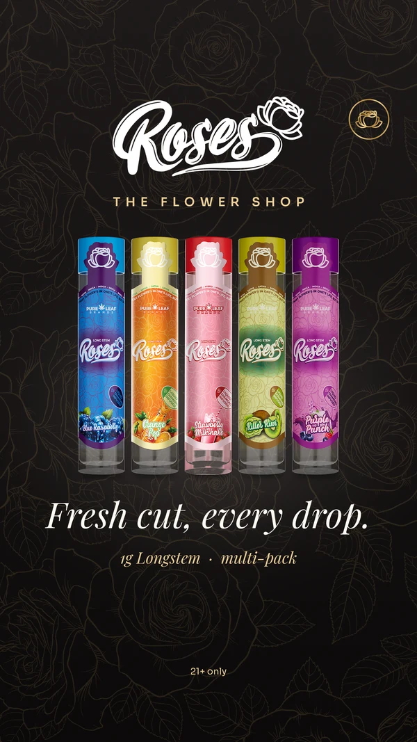 Roses story, Fresh cut