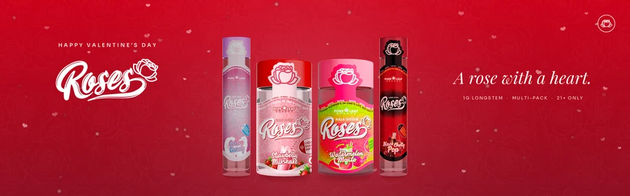 Roses Valentine’s Day banner